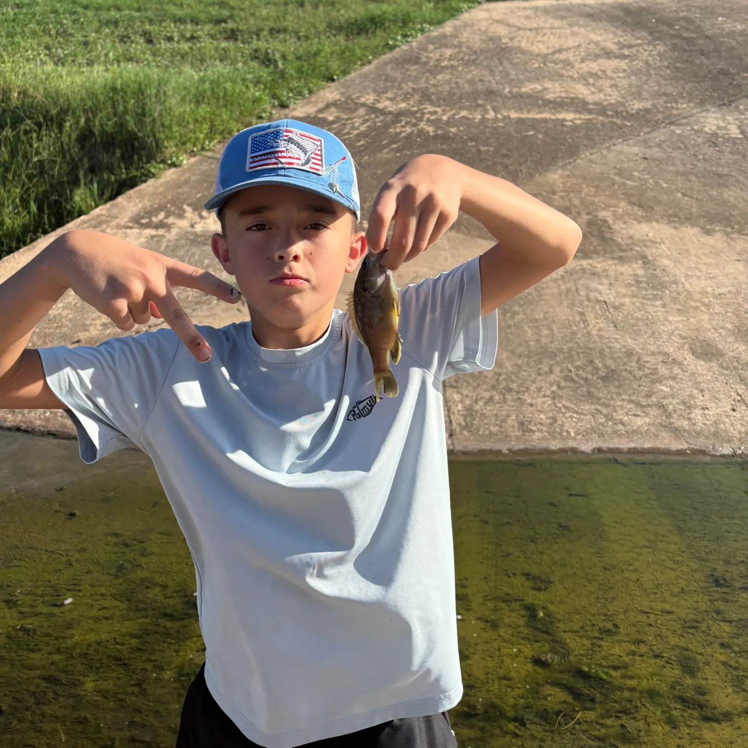 Rock bass caught on Fishbrain
