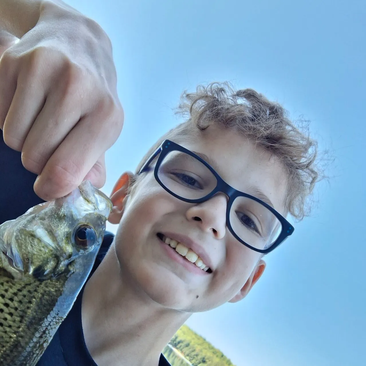 Rock bass caught on Fishbrain