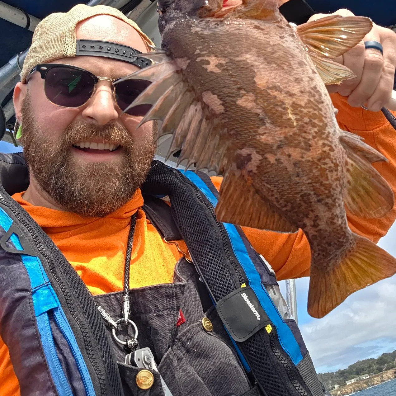 The most recent Gopher rockfish catches on Fishbrain