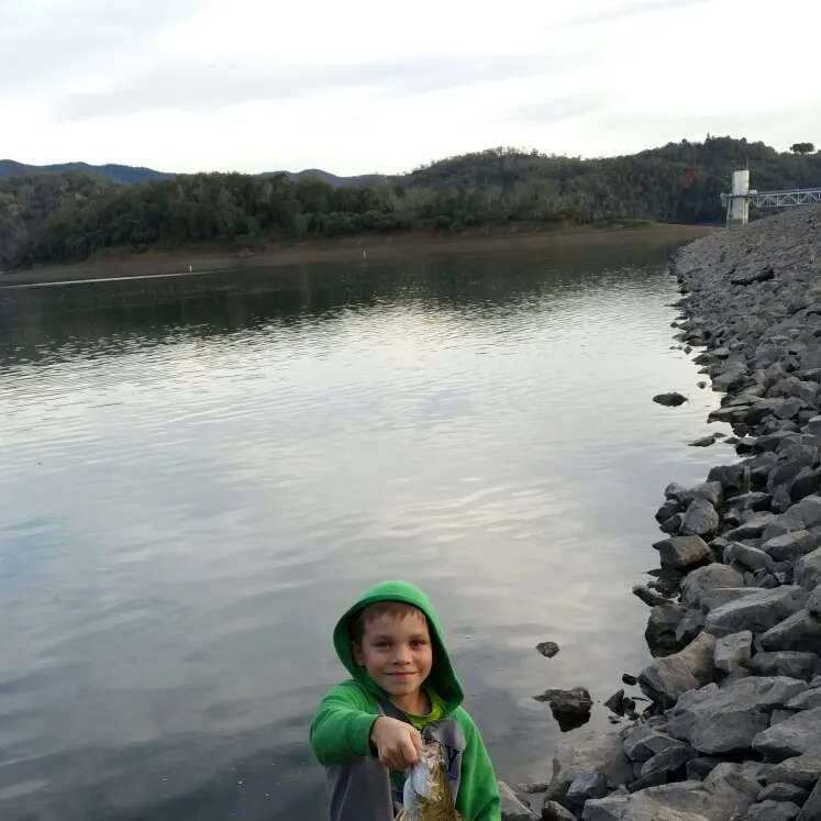 angler catch