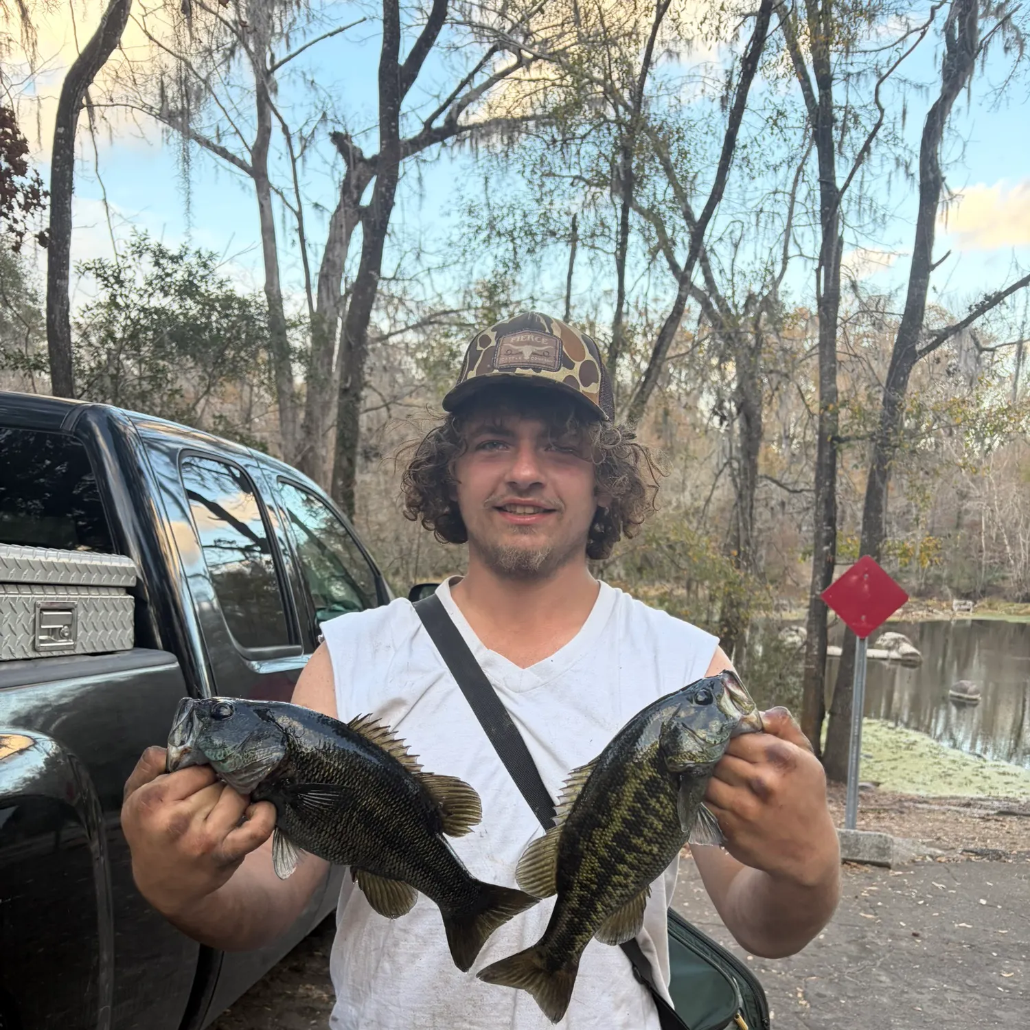 The most recent Suwannee bass catches on Fishbrain