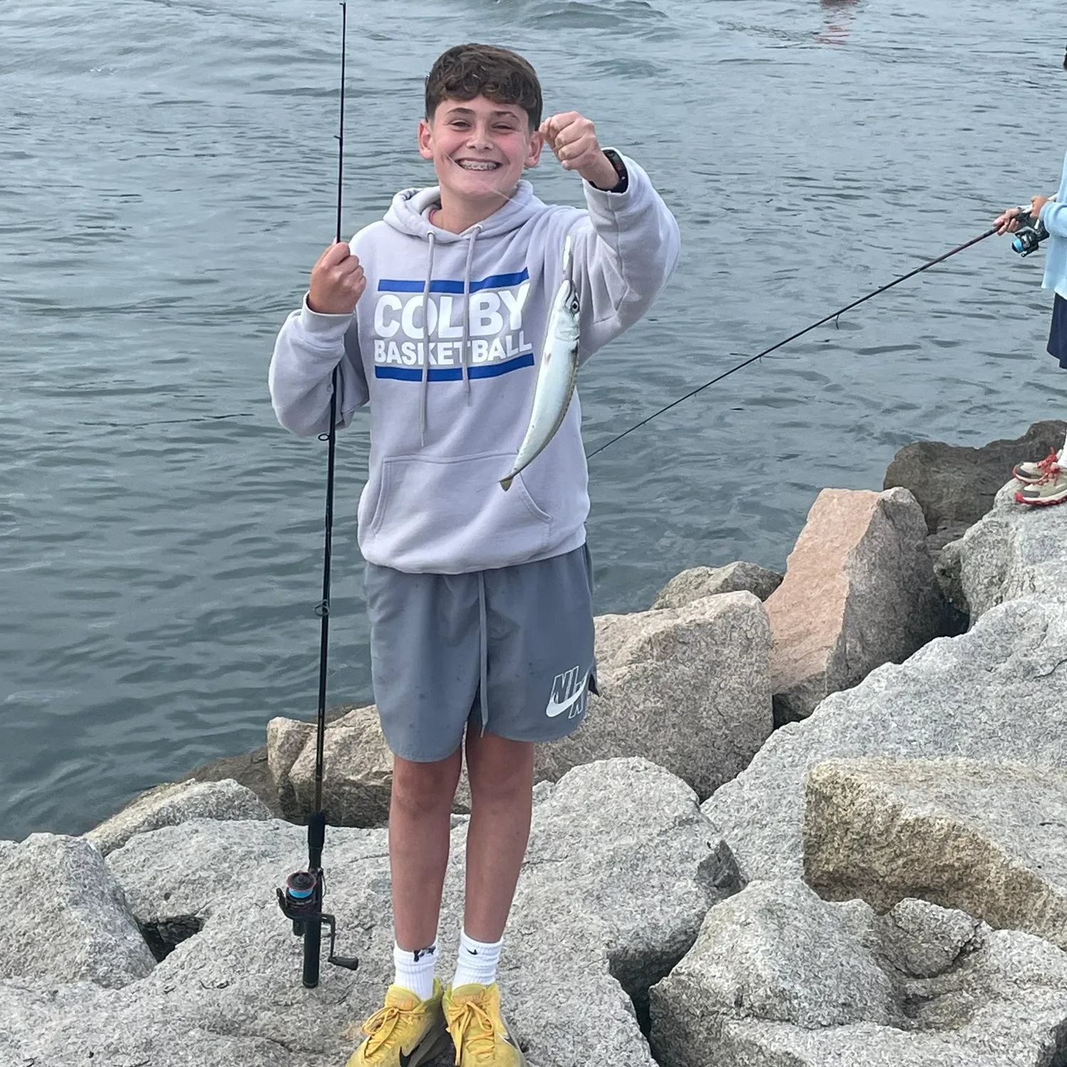 The most recent Atlantic mackerel catches on Fishbrain
