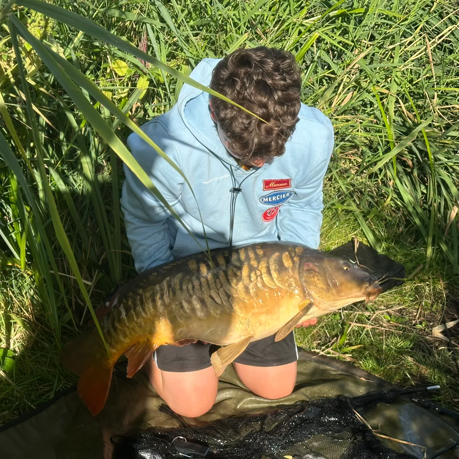 Mirror carp caught on Fishbrain