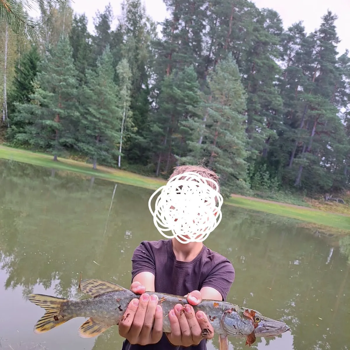 Northern pike caught on Fishbrain