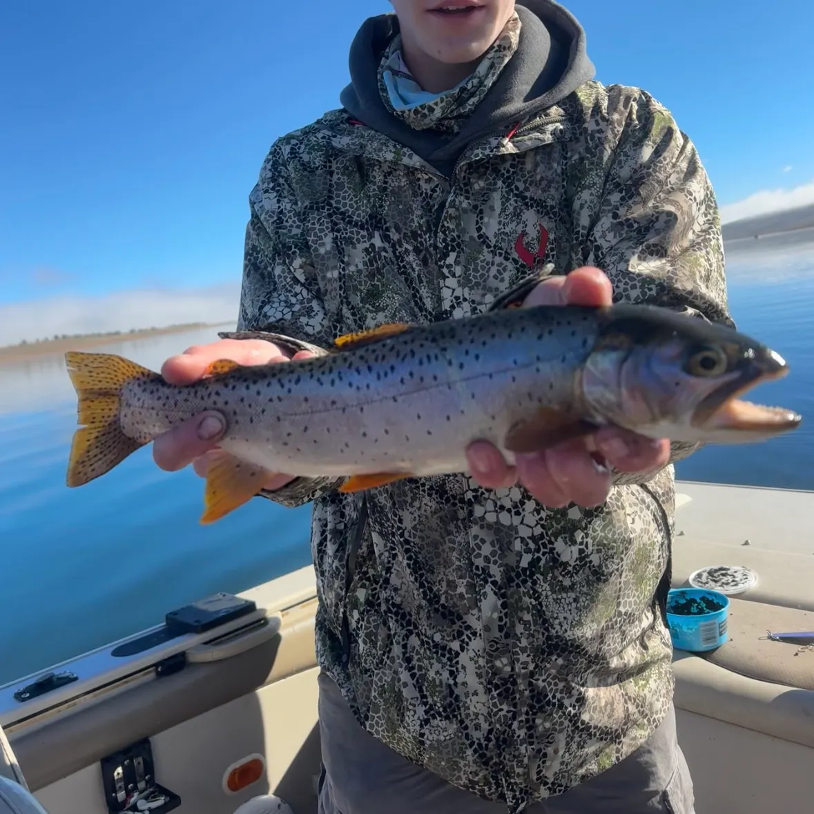 The most recent Bear River cutthroat trout catches on Fishbrain