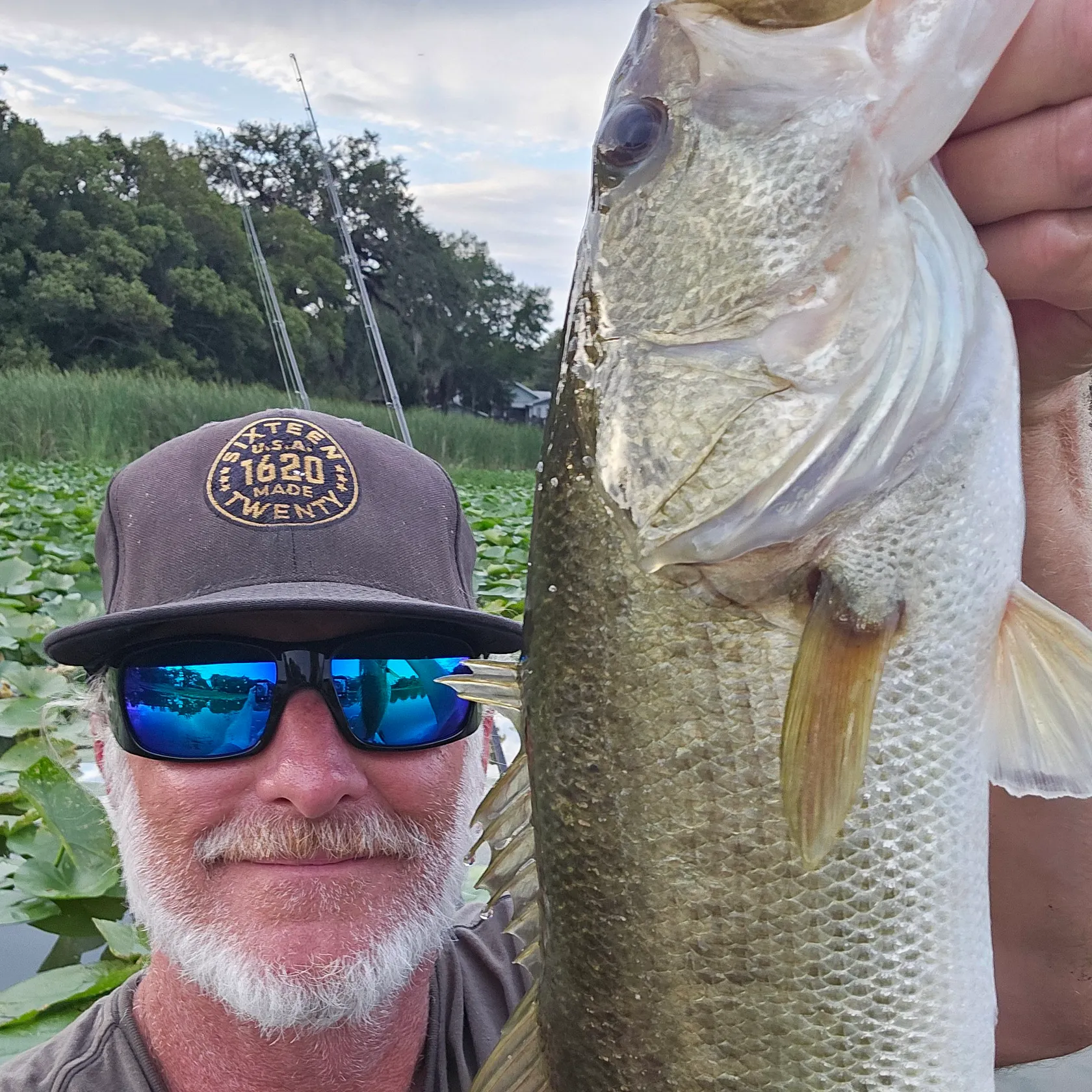 The most recent Florida bass catches on Fishbrain