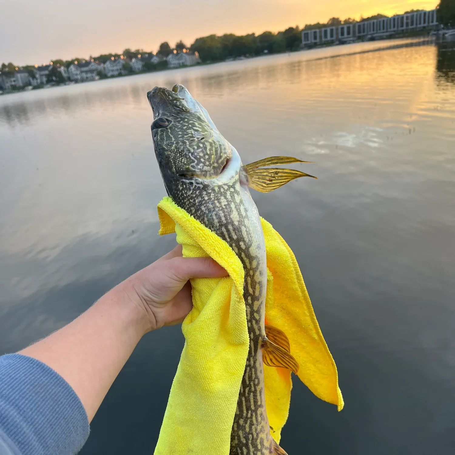 catch
