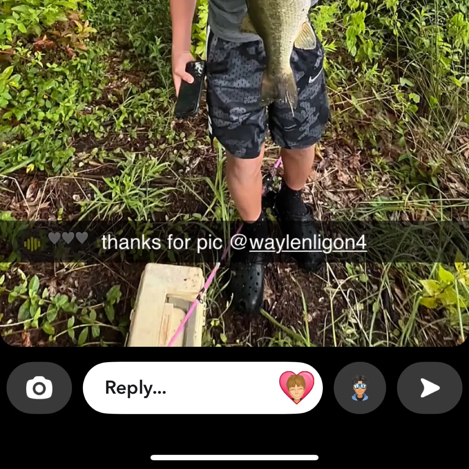 recently logged catches