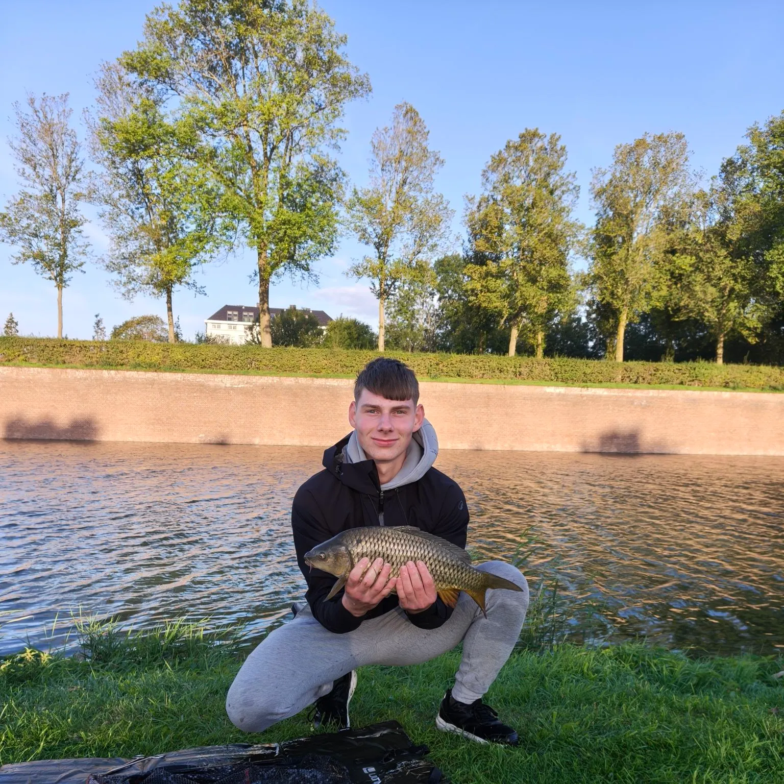 Common carp caught on Fishbrain