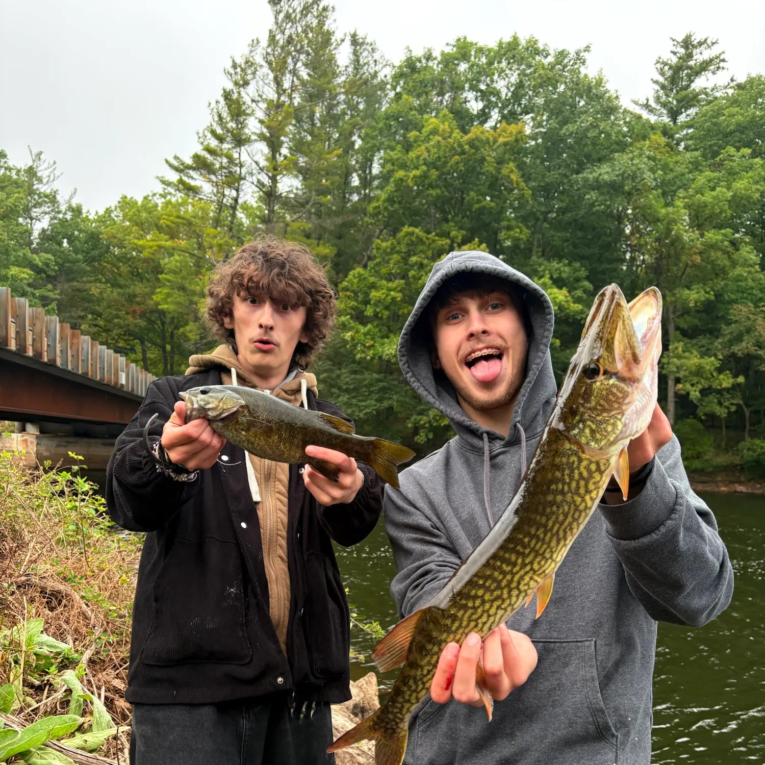 Smallmouth bass caught on Fishbrain