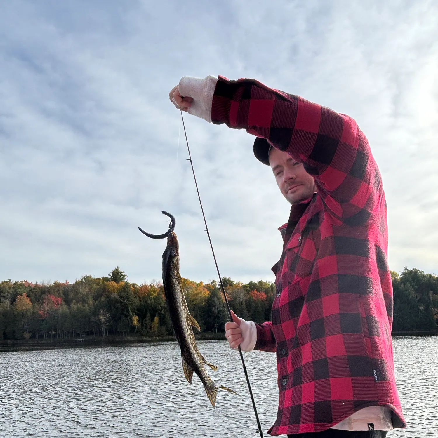Northern pike caught on Fishbrain