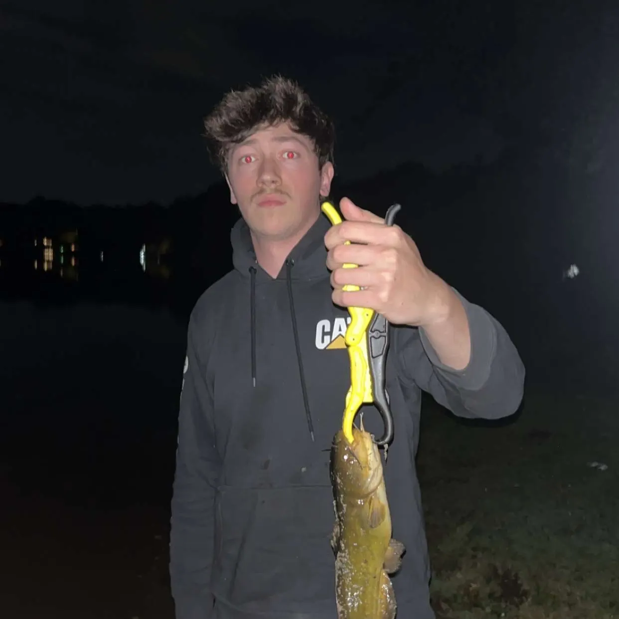 Yellow bullhead caught on Fishbrain