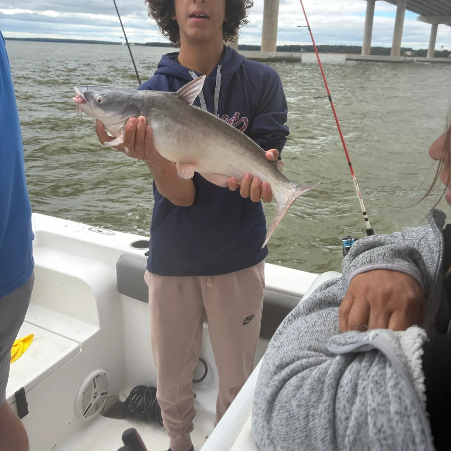 Blue catfish caught on Fishbrain