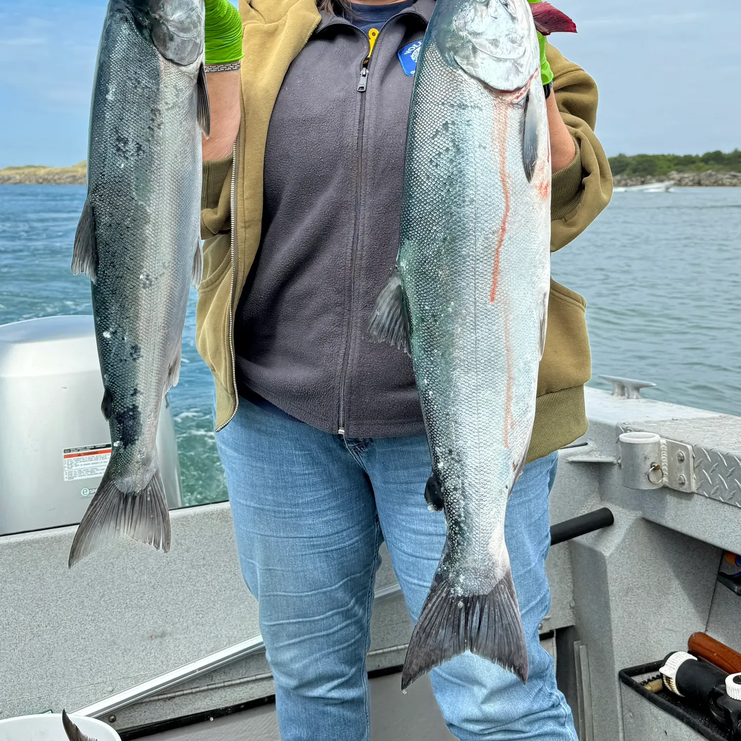 Coho salmon caught on Fishbrain
