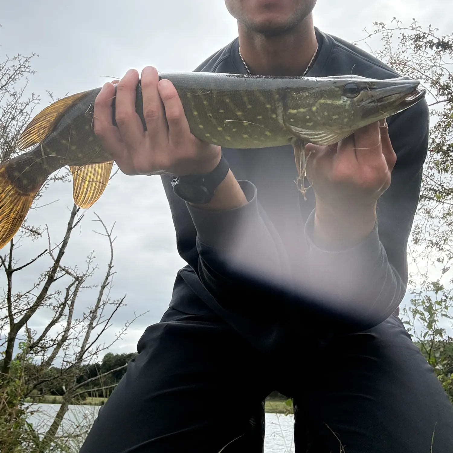 Northern pike caught on Fishbrain