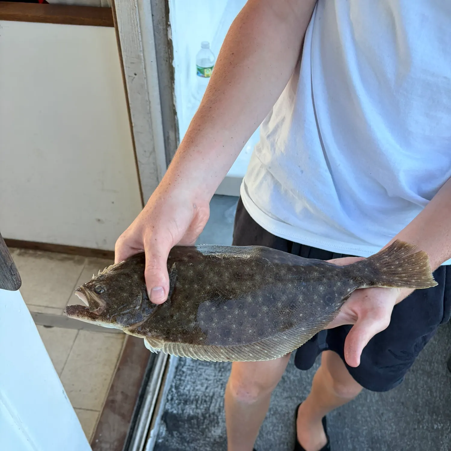 Summer flounder caught on Fishbrain