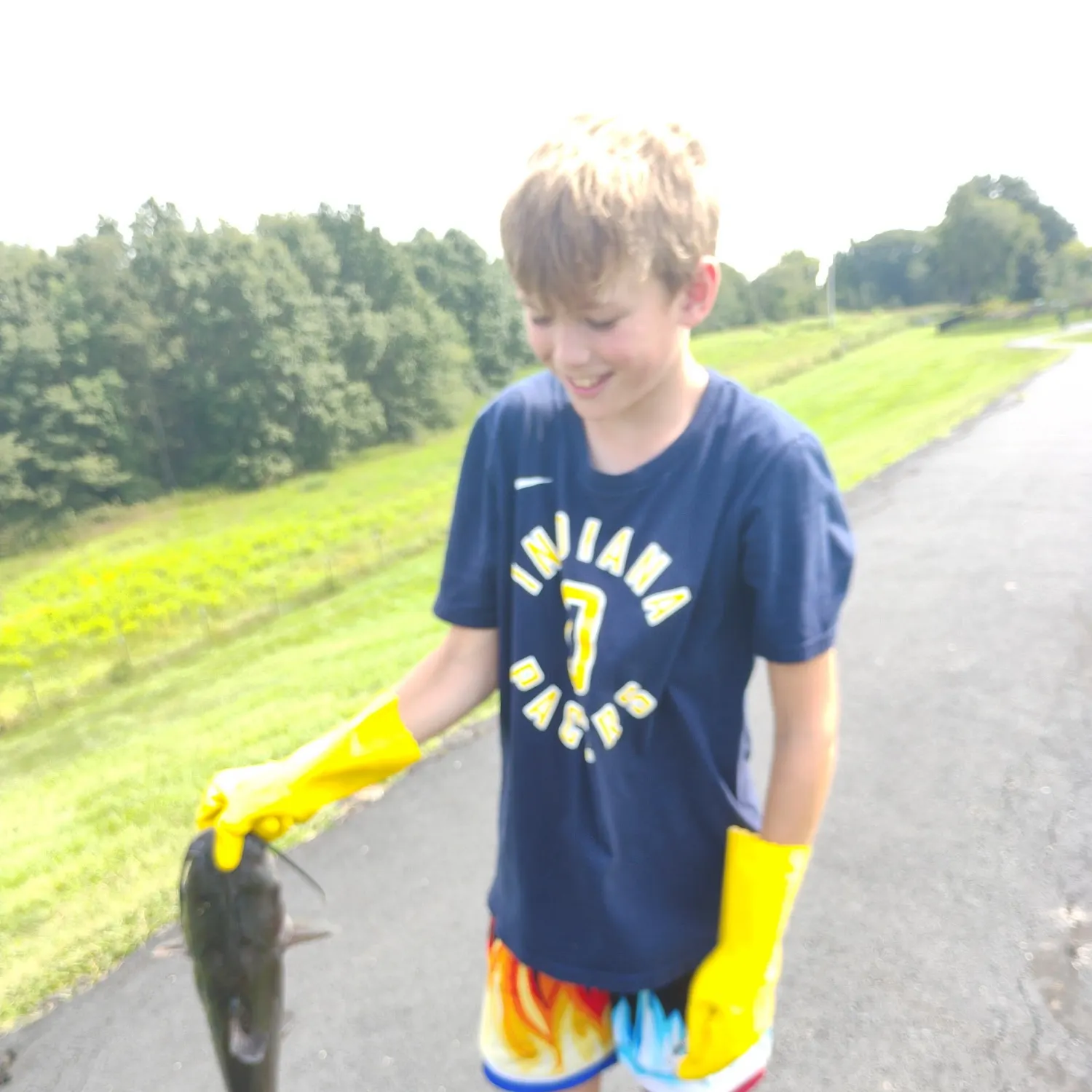 Channel catfish caught on Fishbrain