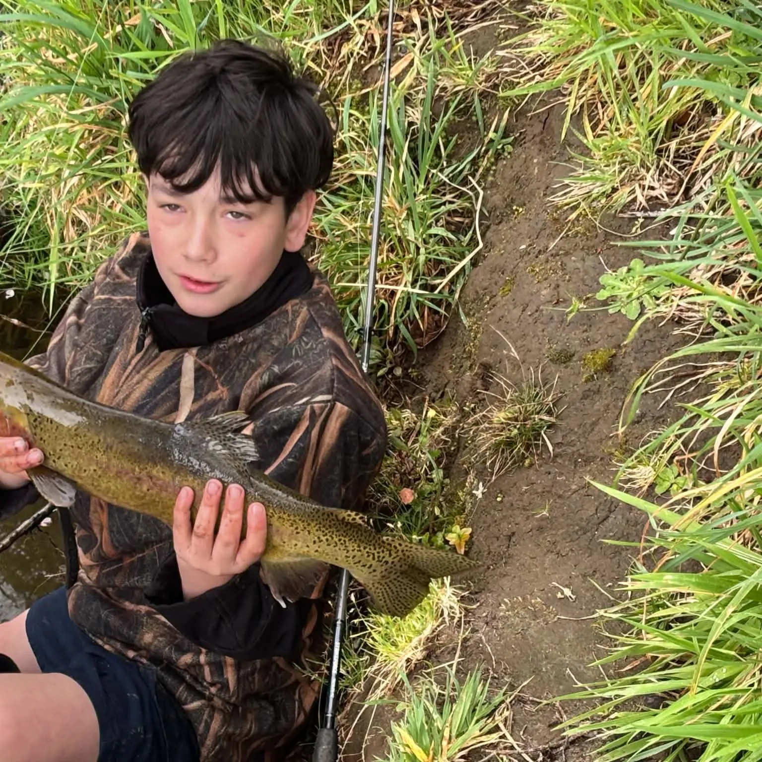 Rainbow trout caught on Fishbrain
