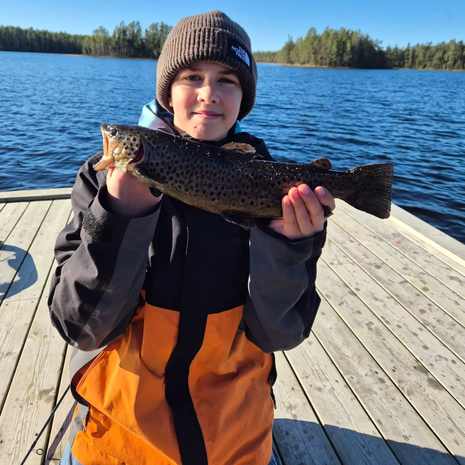 Brown trout caught on Fishbrain