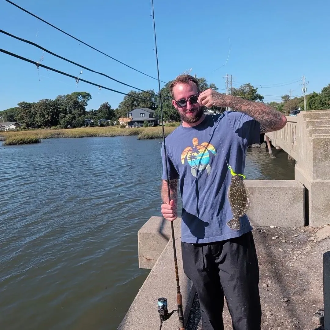 Summer flounder caught on Fishbrain