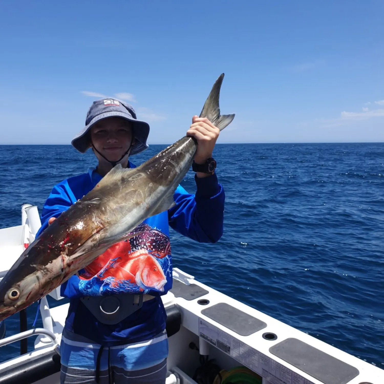 Cobia caught on Fishbrain
