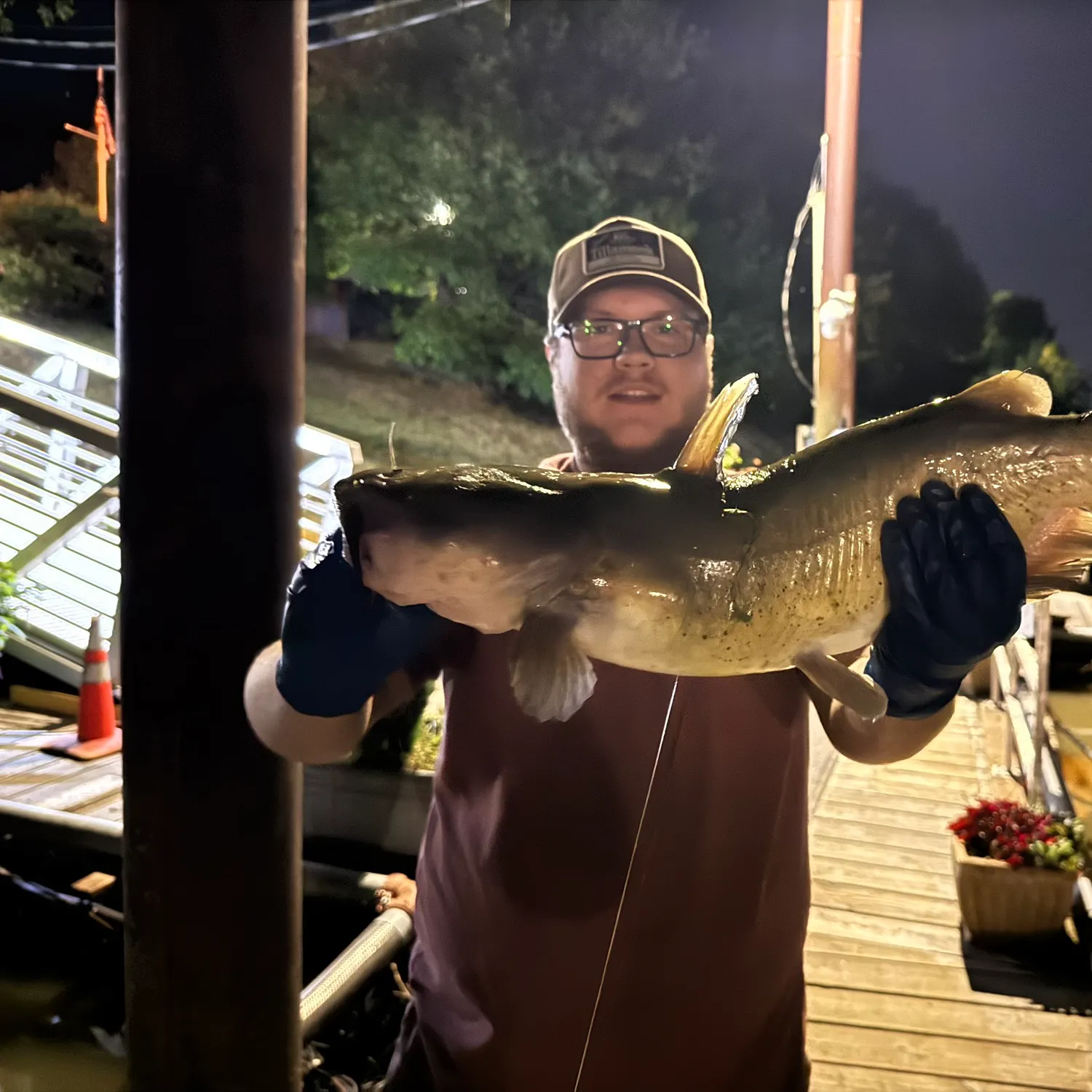 Channel catfish caught on Fishbrain