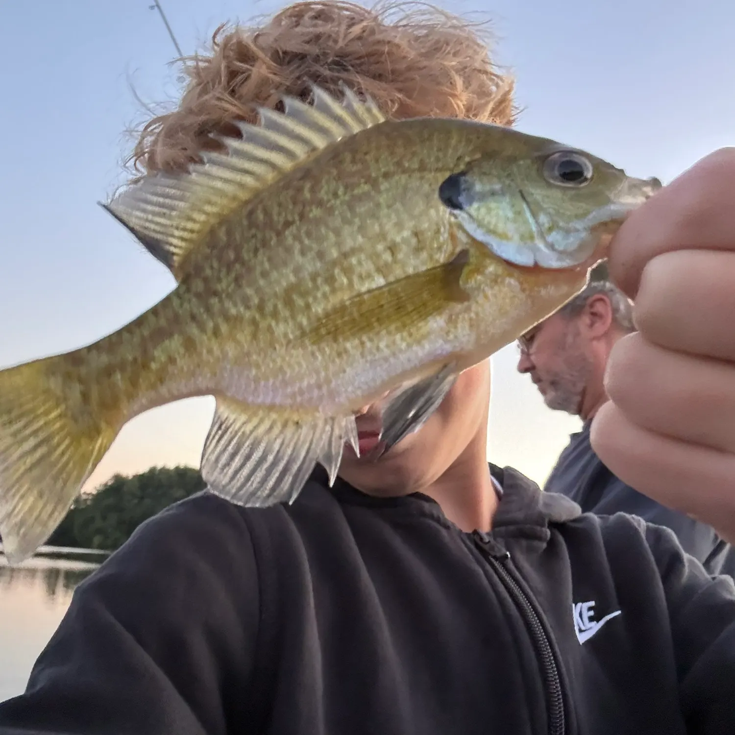 Bluegill caught on Fishbrain