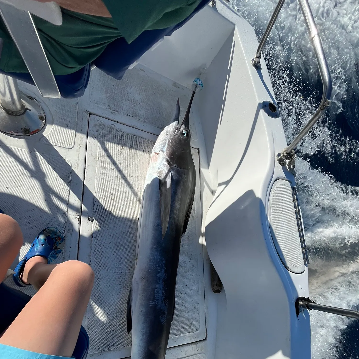 The most recent Atlantic blue marlin catches on Fishbrain