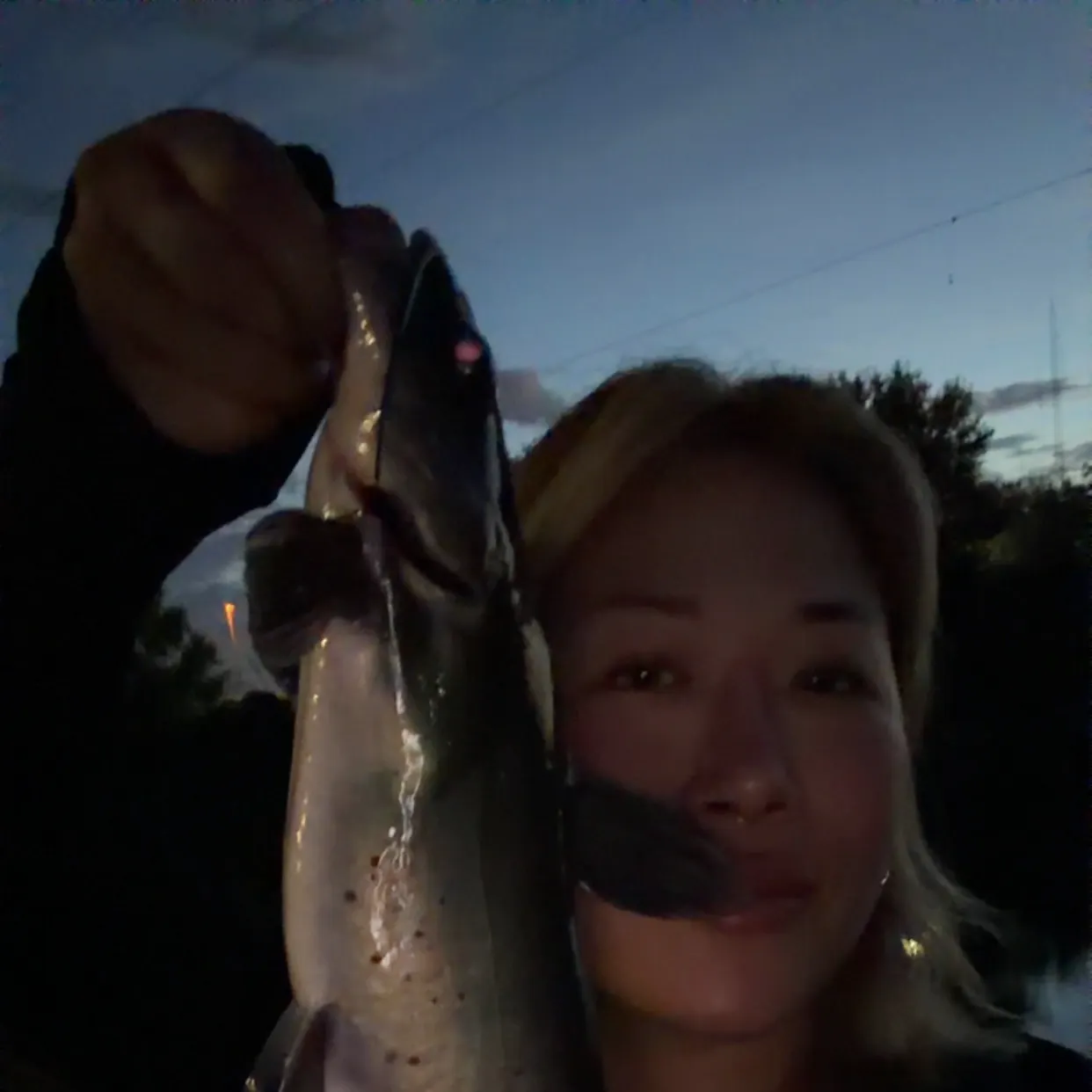 Channel catfish caught on Fishbrain