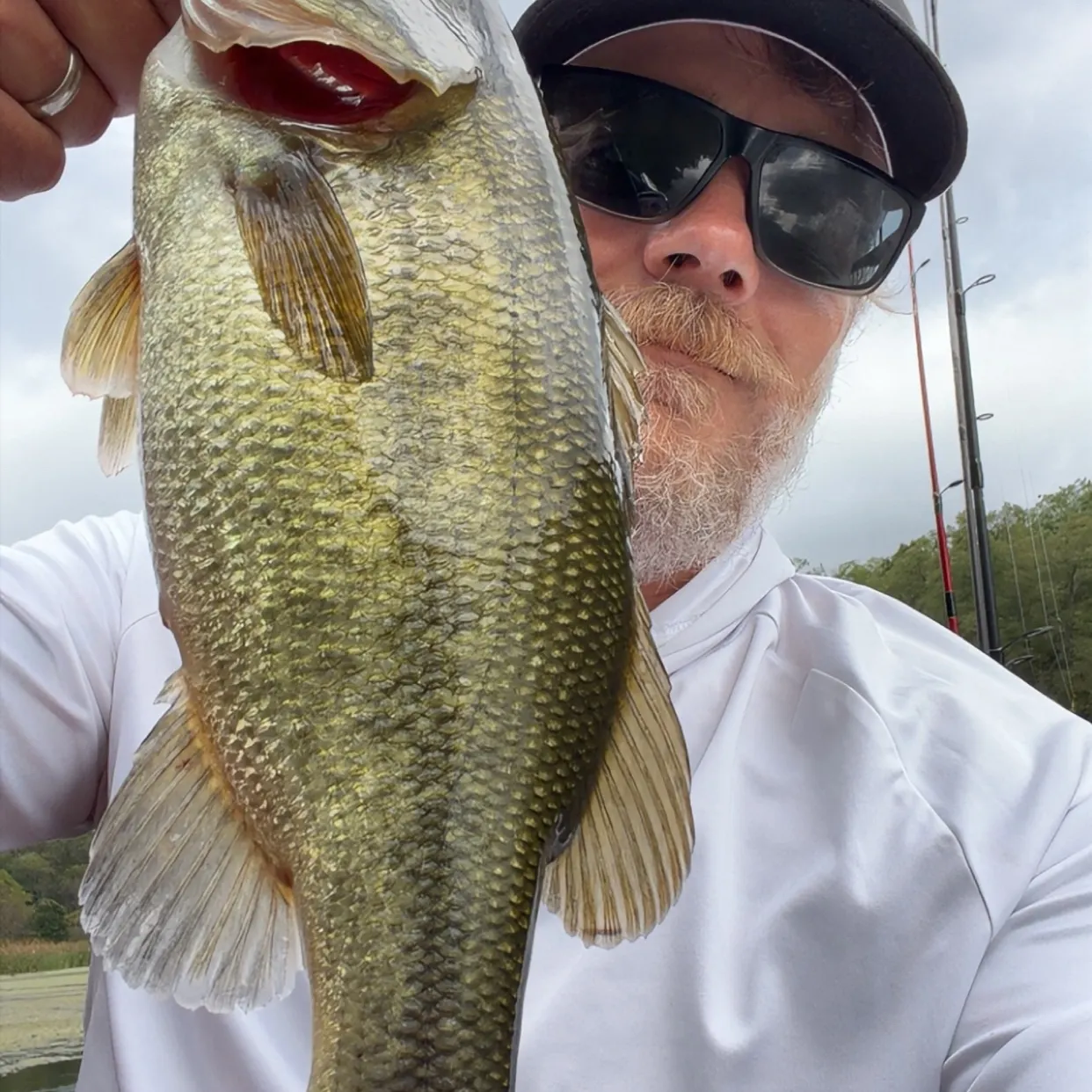 Largemouth bass caught on Fishbrain