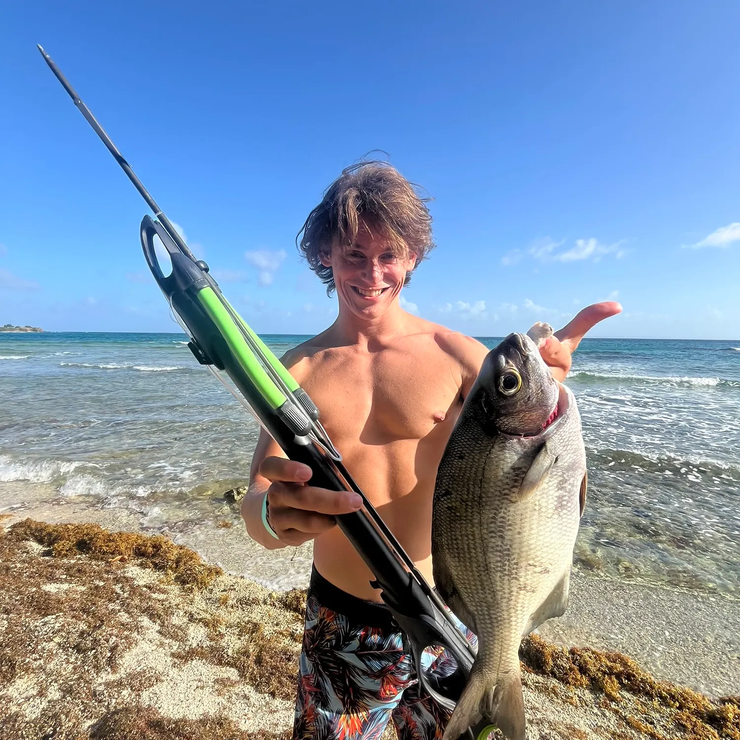 The most recent Black snapper catches on Fishbrain
