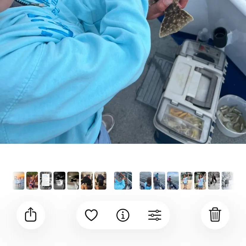 Summer flounder caught on Fishbrain