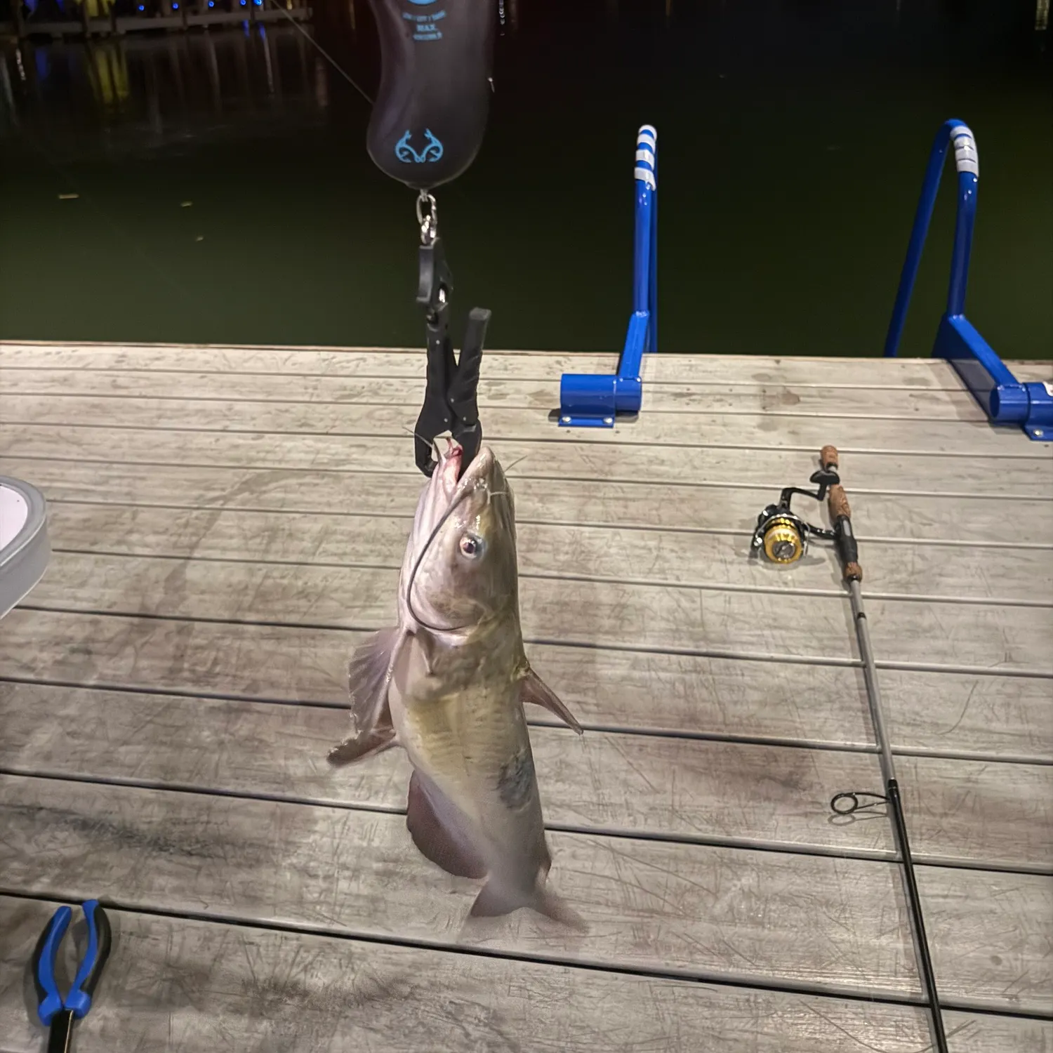 catch