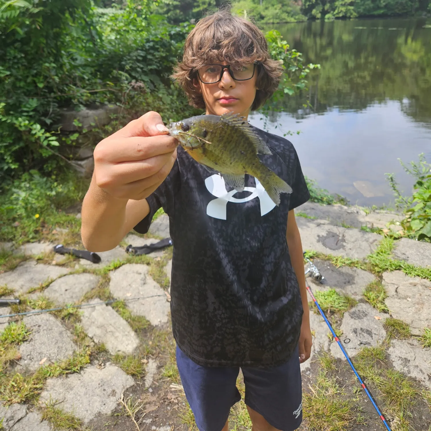 Bluegill caught on Fishbrain