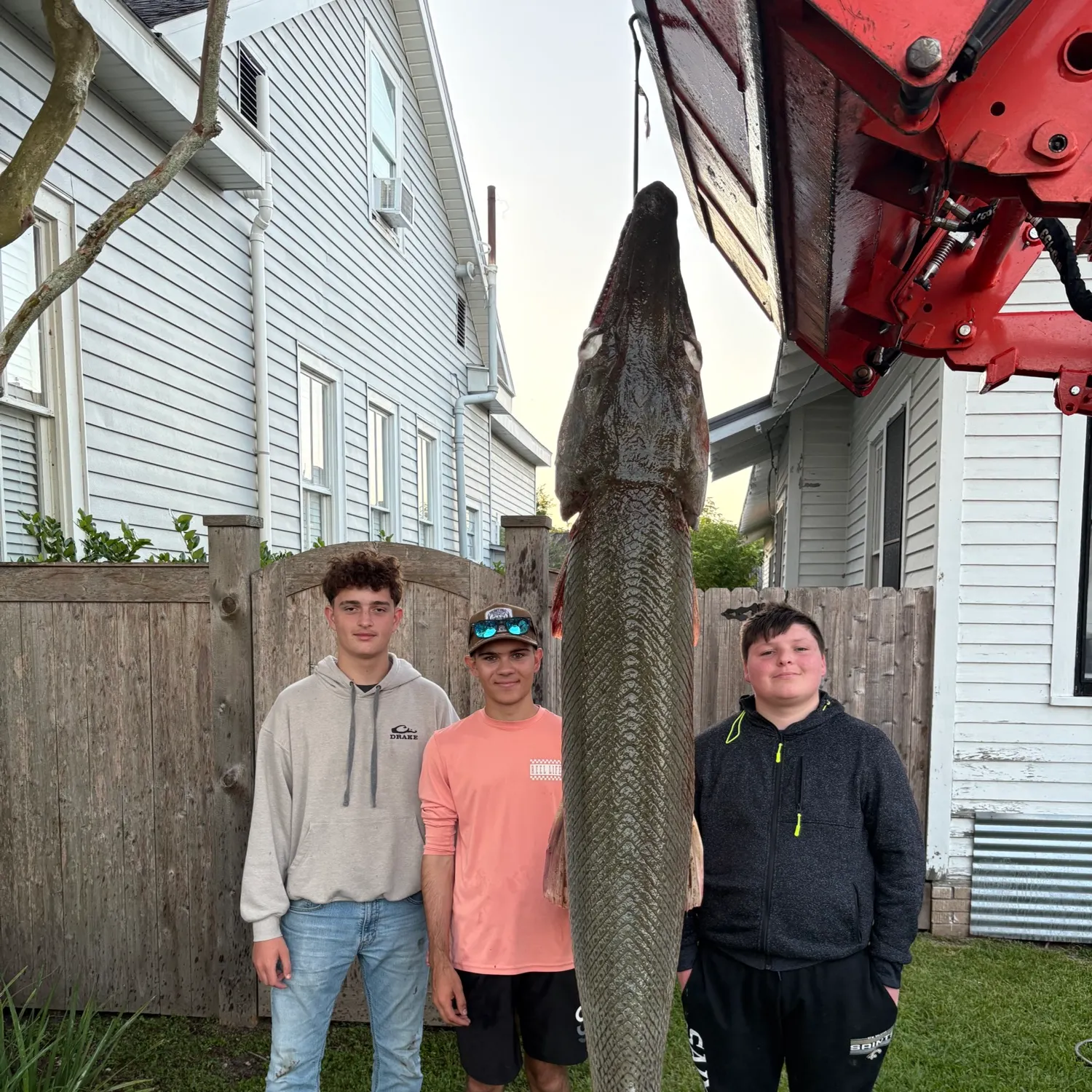 recently logged catches