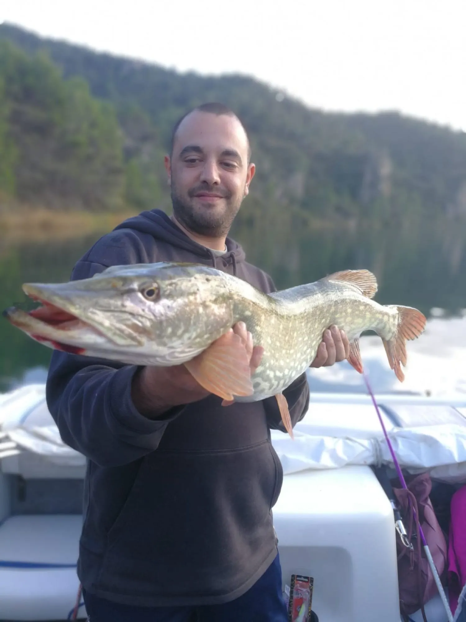 Post image from aperez8411