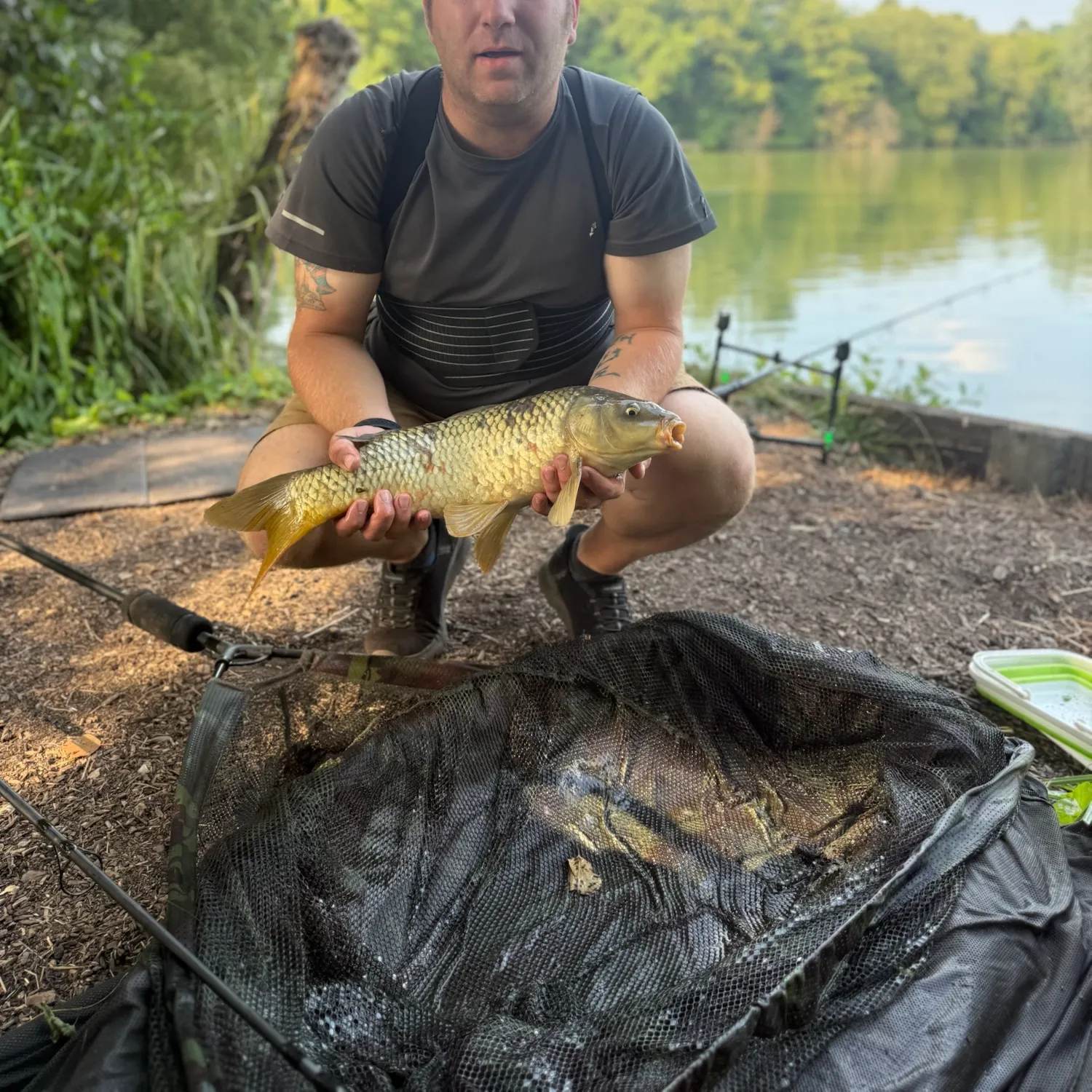 Common carp caught on Fishbrain