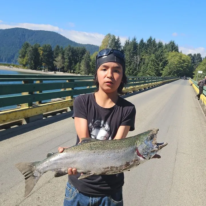 Coho salmon caught on Fishbrain