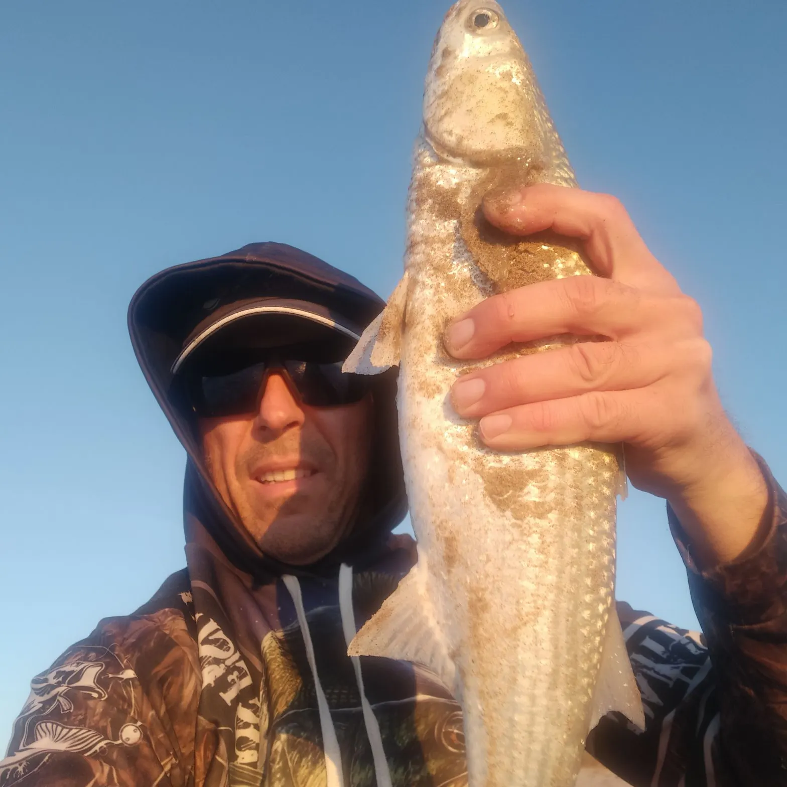 Striped mullet caught on Fishbrain