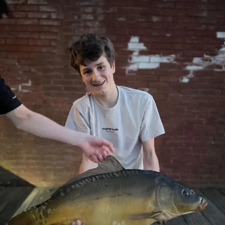 The most recent Leather carp catches on Fishbrain