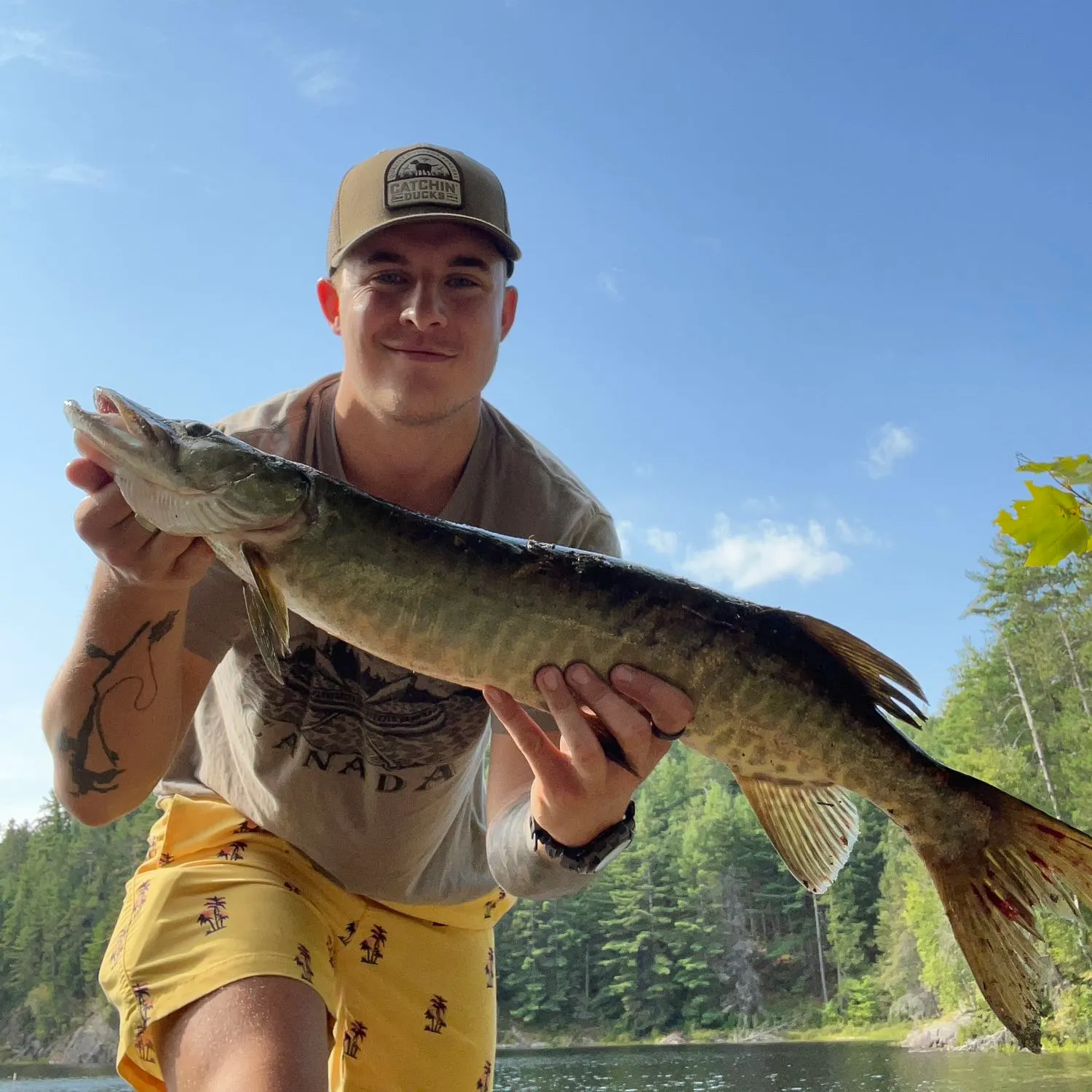 recently logged catches