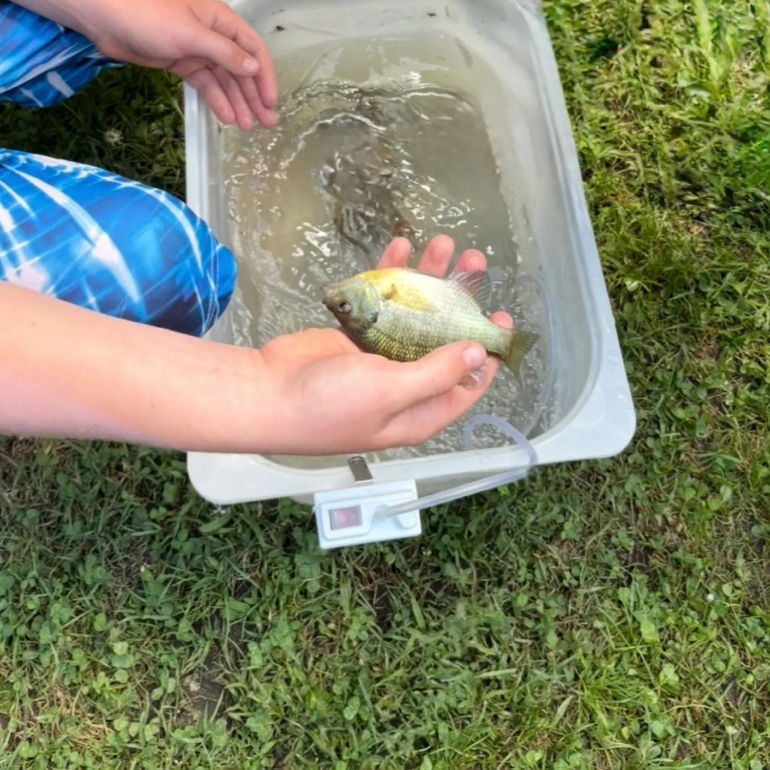 catch