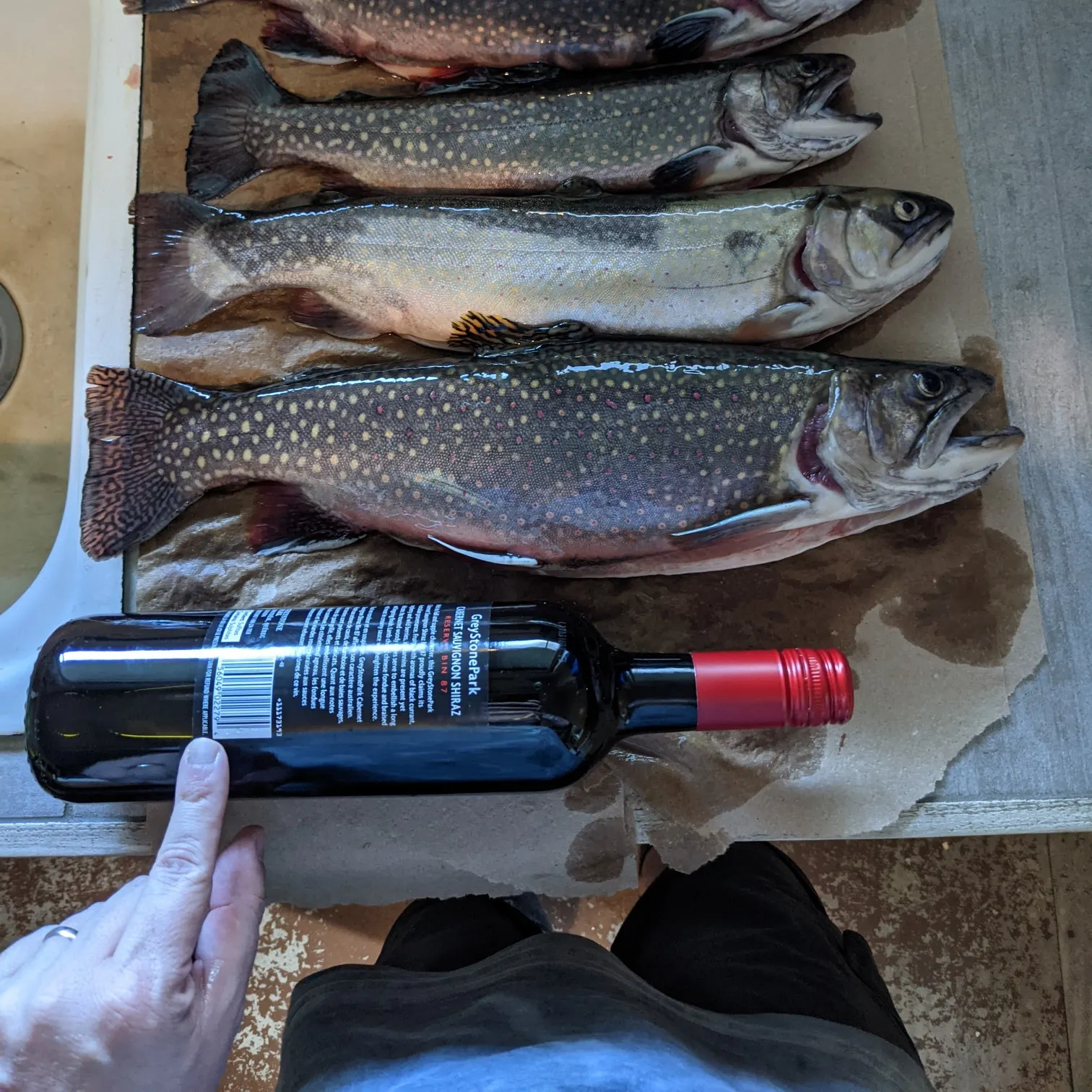 recently logged catches