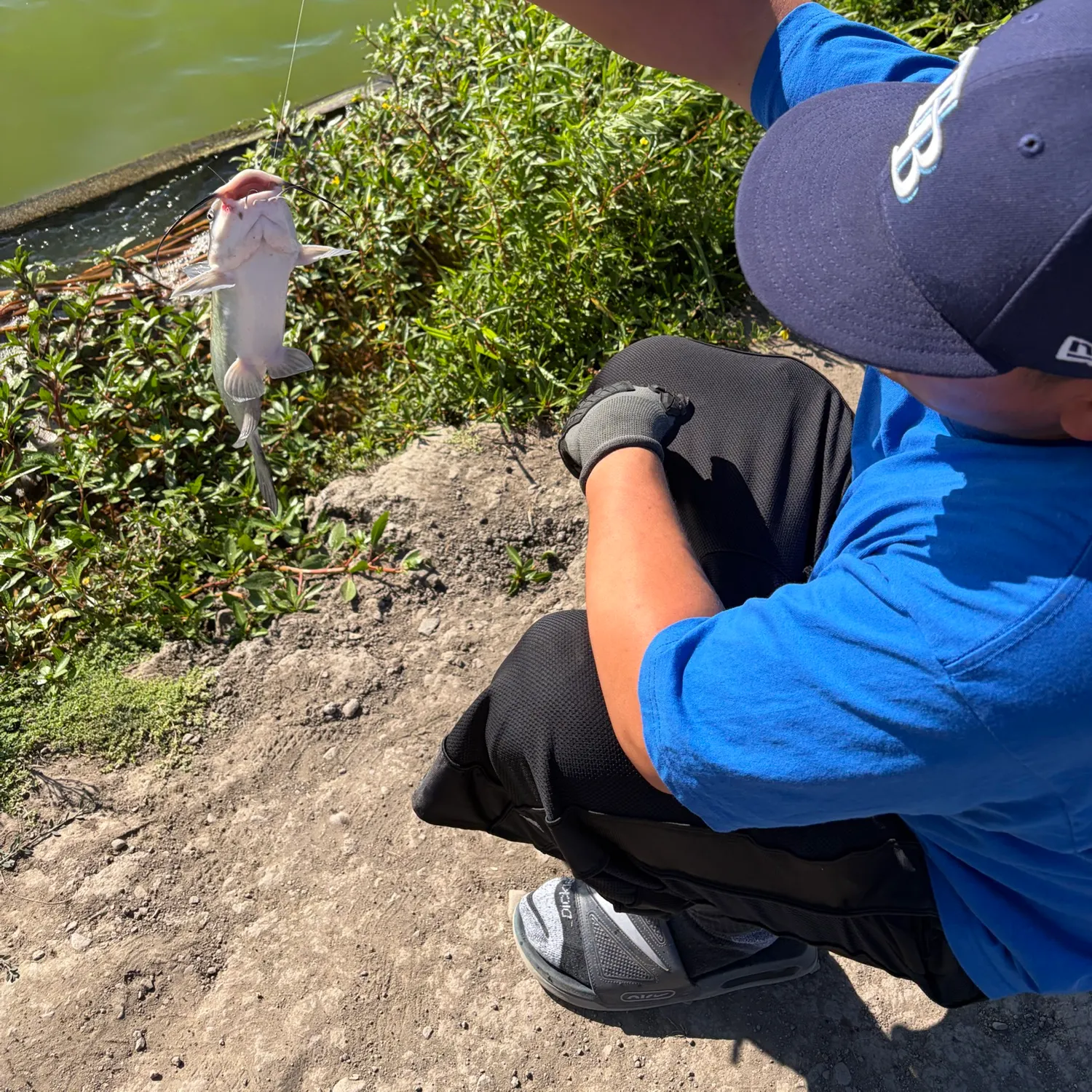 catch