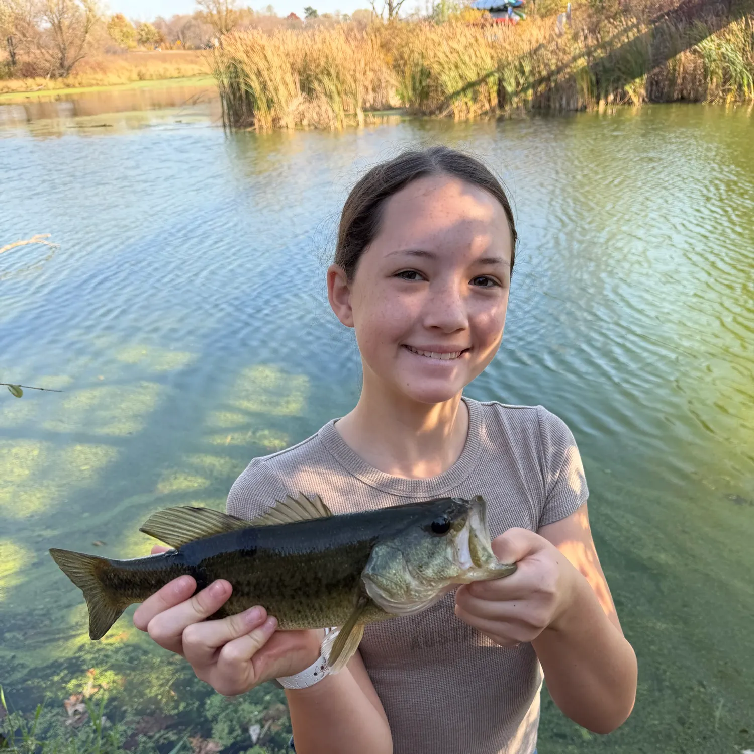 Fish caught on Fishbrain