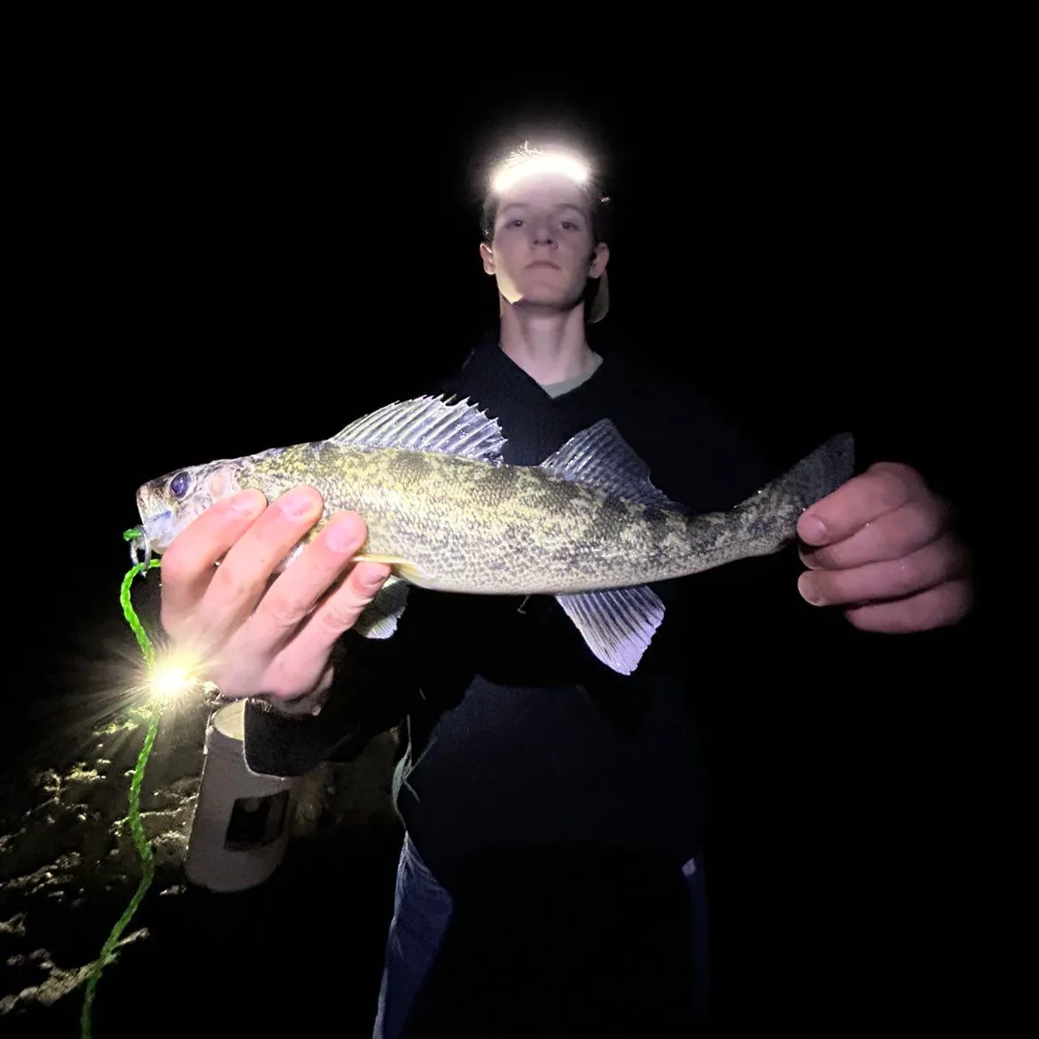 The most recent Walleye catches on Fishbrain