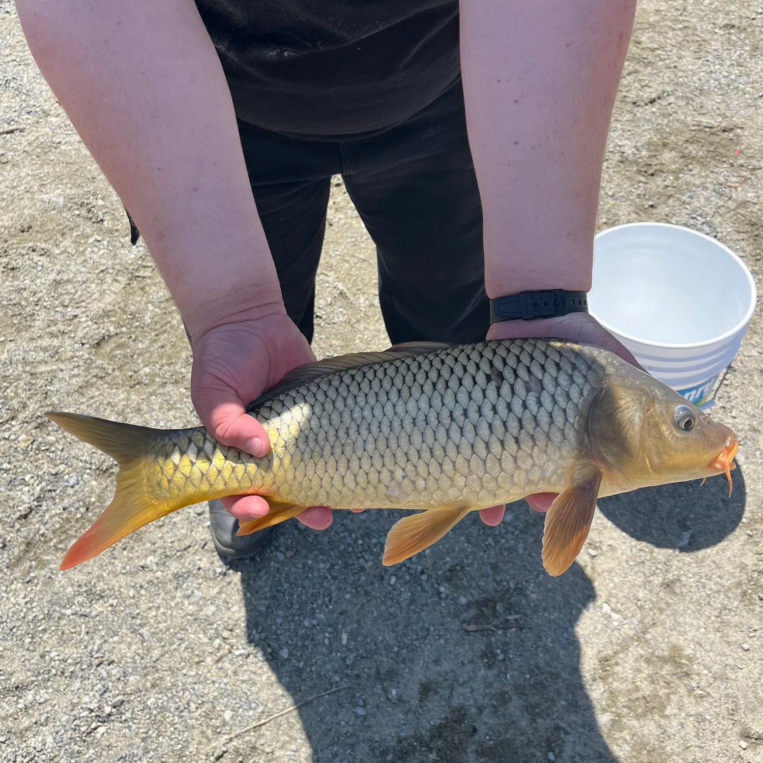catch