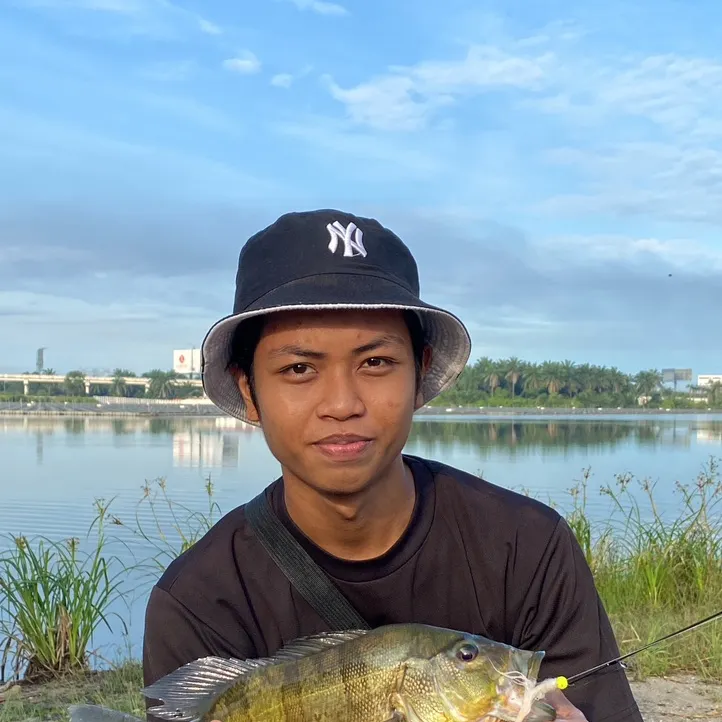 The most recent Butterfly peacock bass catches on Fishbrain