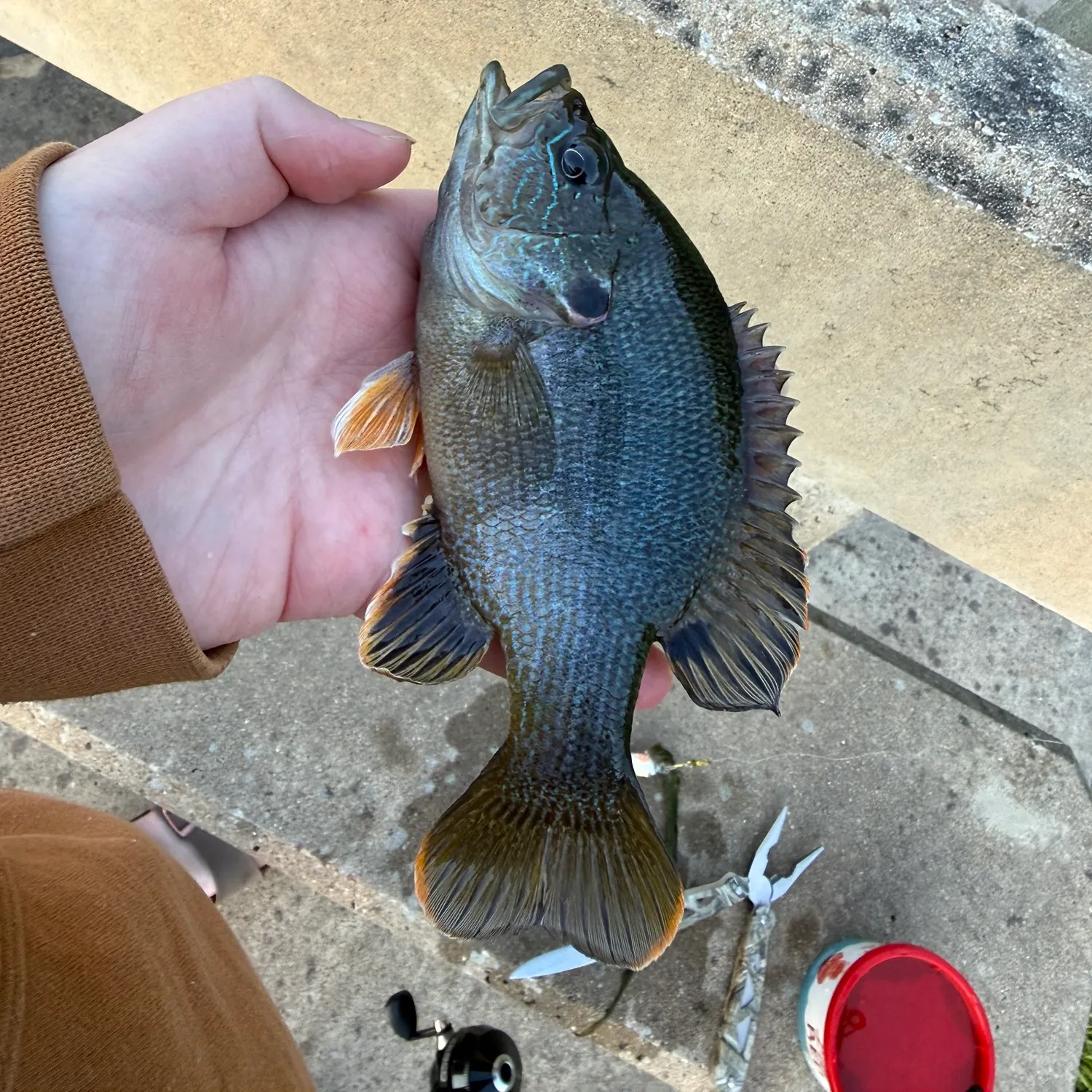 catch