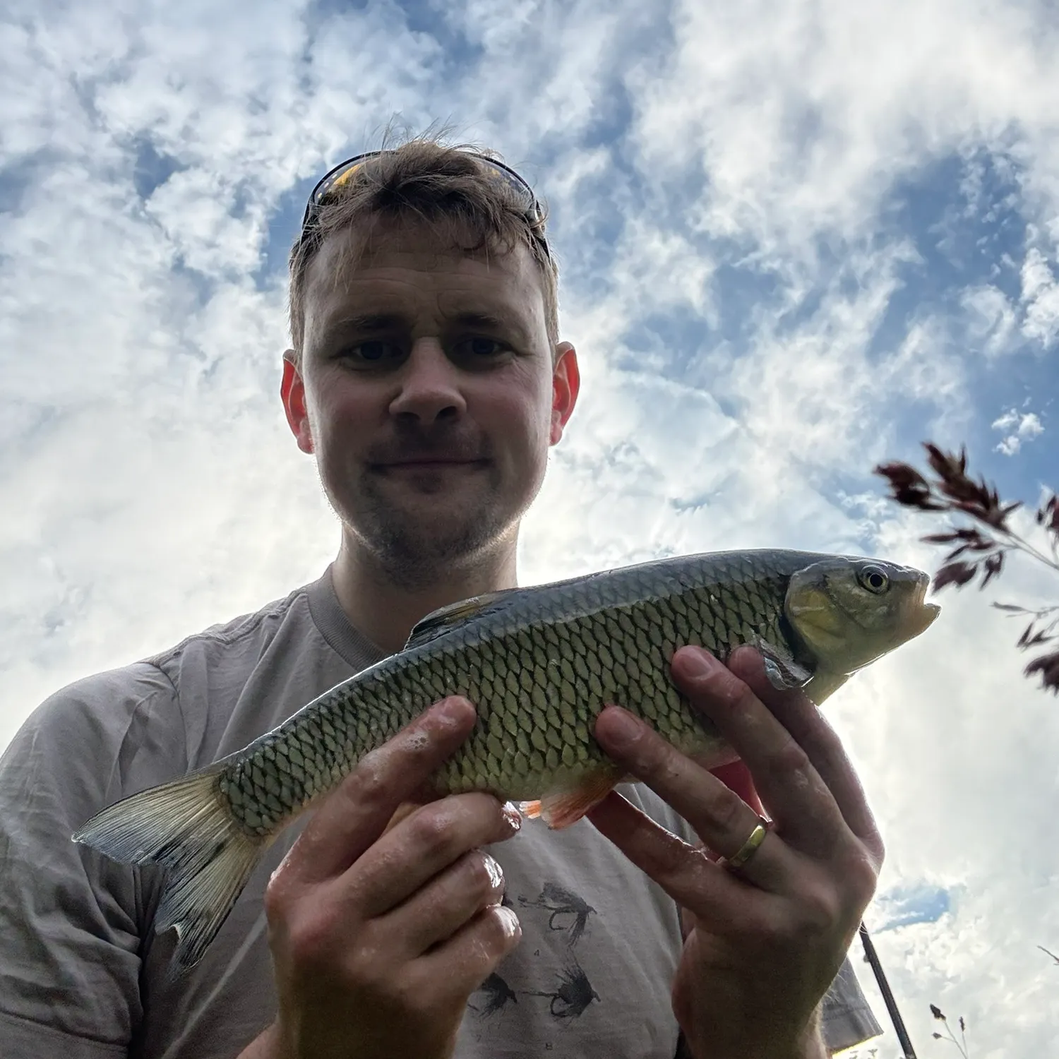 The most recent European chub catches on Fishbrain